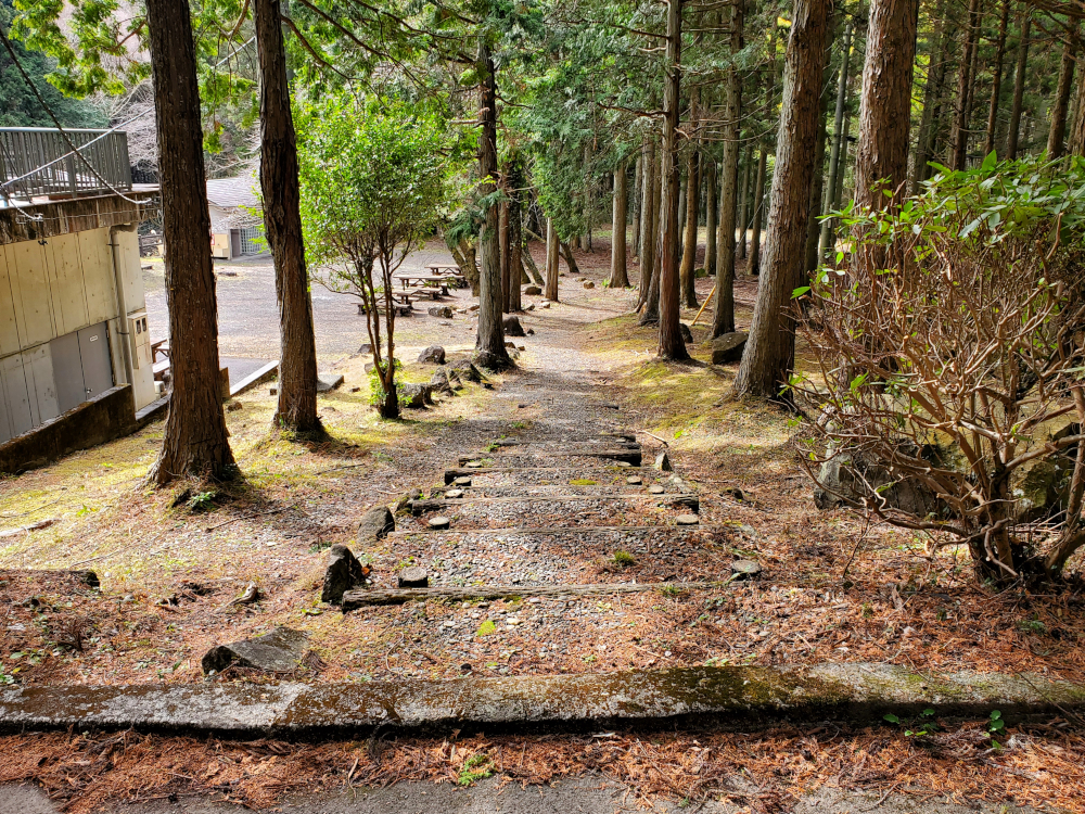 木立キャンプ場の通路