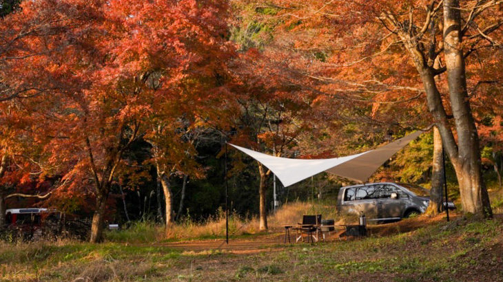 静岡県民が厳選！秋に紅葉が楽しめる静岡キャンプ場ベスト5