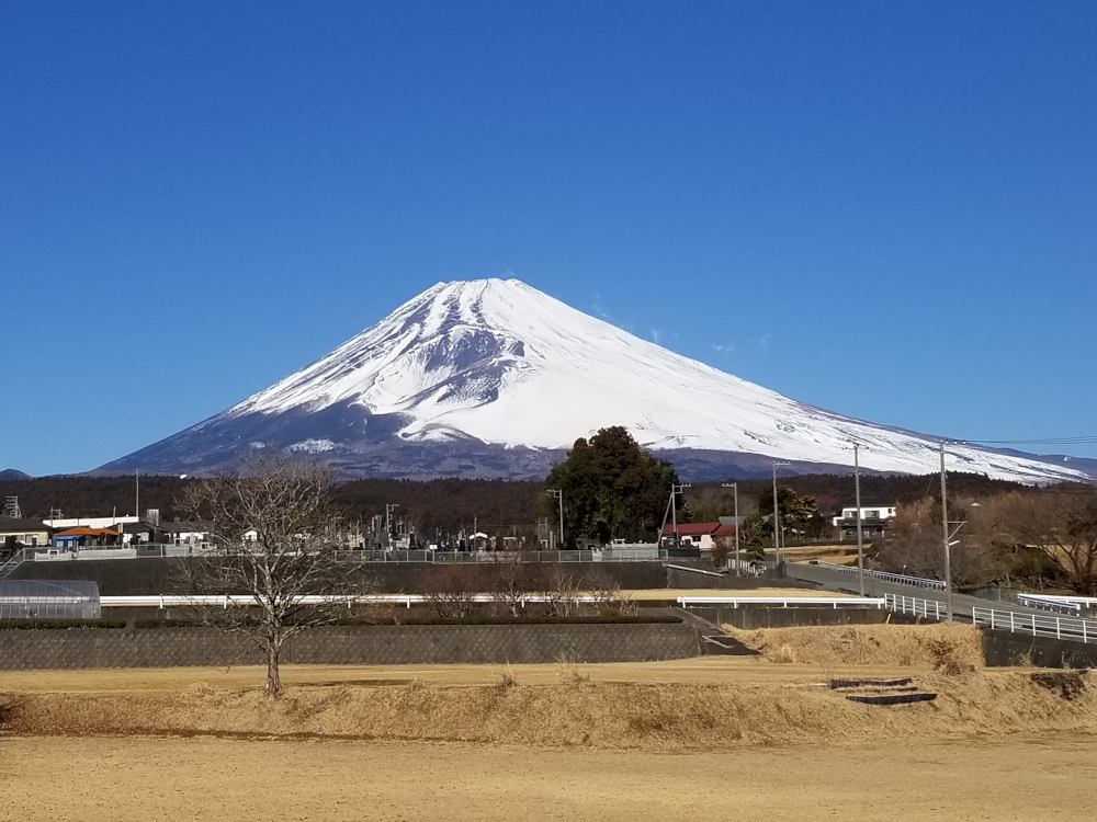 雪化粧した富士山の写真です。