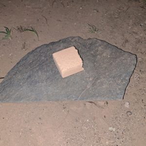 チップを石に乗せる