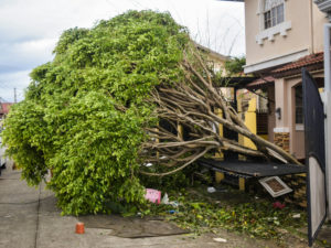 失敗しない！防災兼用キャンプ用品の選び方のイメージ写真