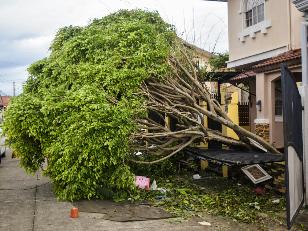 失敗しない！防災兼用キャンプ用品の選び方のイメージ写真