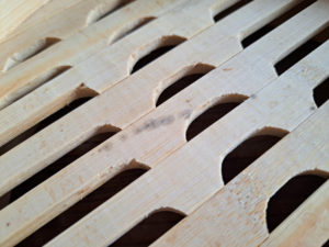 せいろの黒カビ